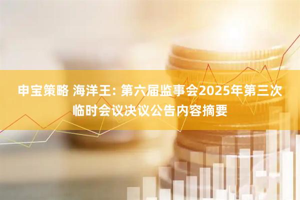 申宝策略 海洋王: 第六届监事会2025年第三次临时会议决议公告内容摘要