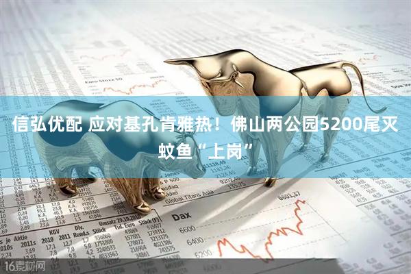 信弘优配 应对基孔肯雅热！佛山两公园5200尾灭蚊鱼“上岗”