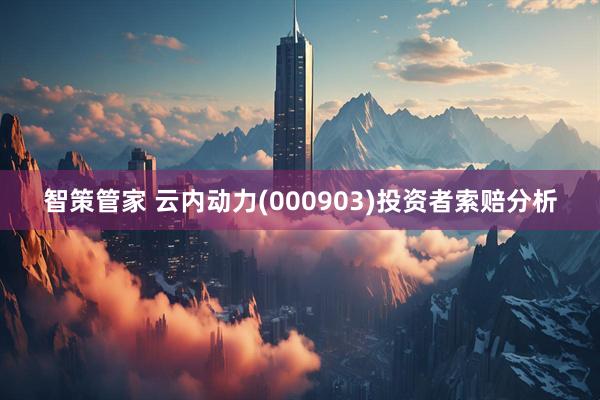 智策管家 云内动力(000903)投资者索赔分析
