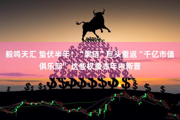 毅鸣天汇 蛰伏半年！“果链”巨头重返“千亿市值俱乐部” 这些权重亦年内新晋