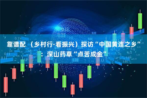 靠谱配 （乡村行·看振兴）探访“中国黄连之乡”：深山药草“点苦成金”